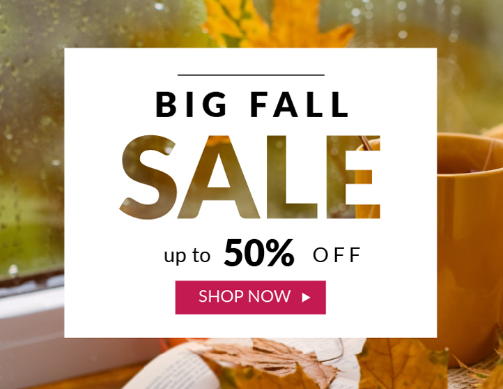 Fall Sale up to 50&percnt; off savings Kegco Allavino sale kegerators&comma; wine refrigerators&comma; beverage centers and more instant savings with free shipping