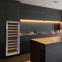 Built-In Wine Fridges
