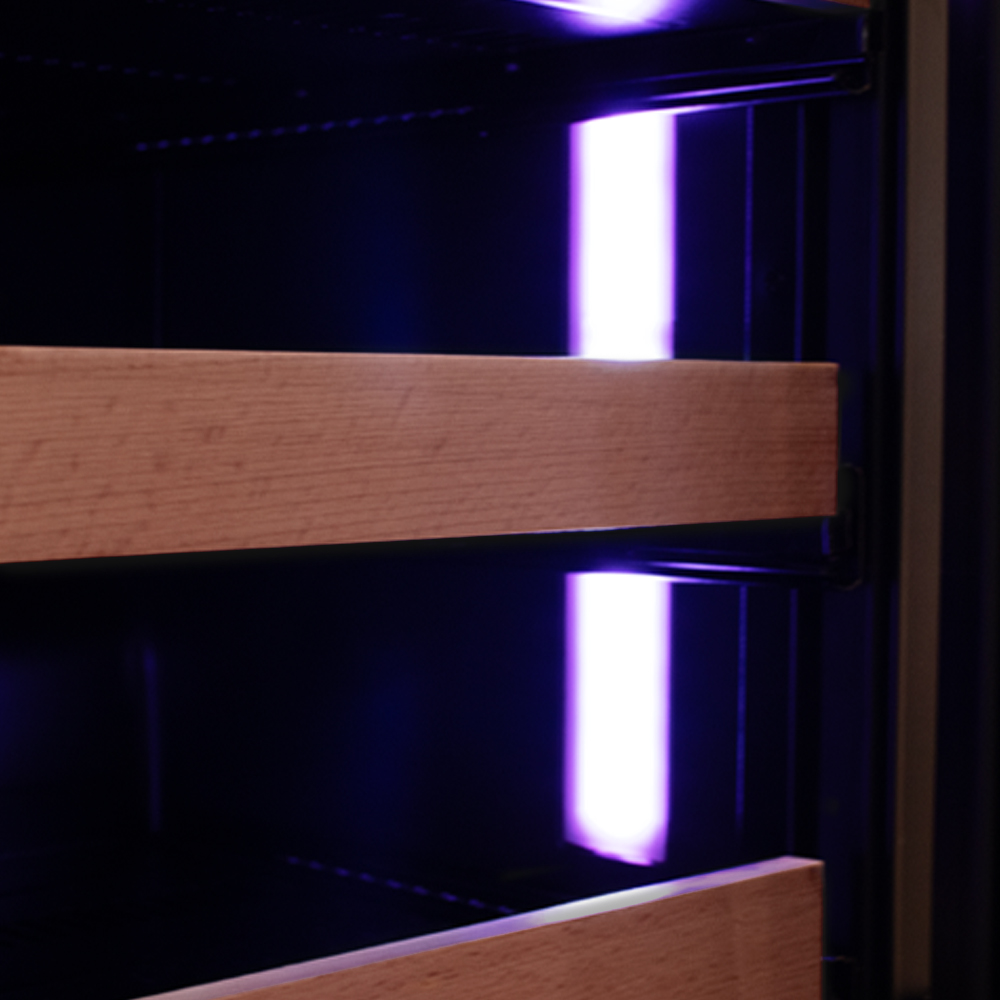 colored RGD LED lights interior